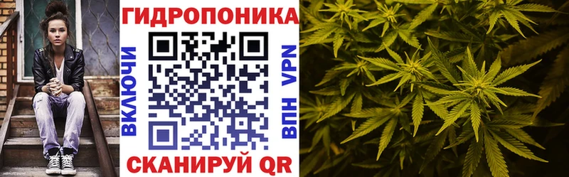 наркота  мега онион  МАРИХУАНА THC 21%  Щигры 